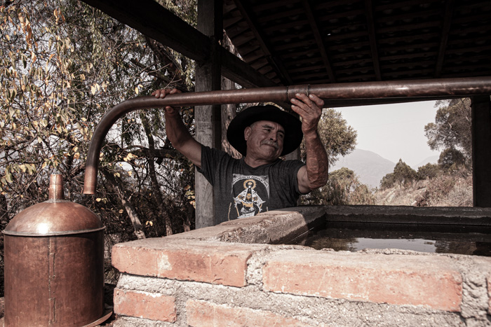 Horizonte Sustentable - Espadín | Tobasiche | Mexicano 2016 Rajabule mezcal artesanal sustentable proceso el vainillo 4
